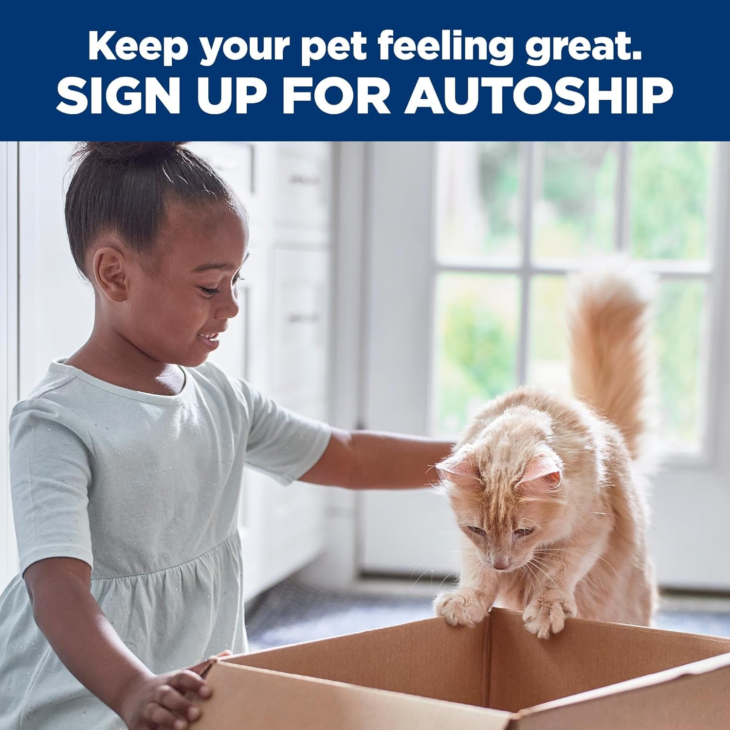 Adult 7+ Indoor Dry Cat Food, Chicken, 15.5 Lb. Bag