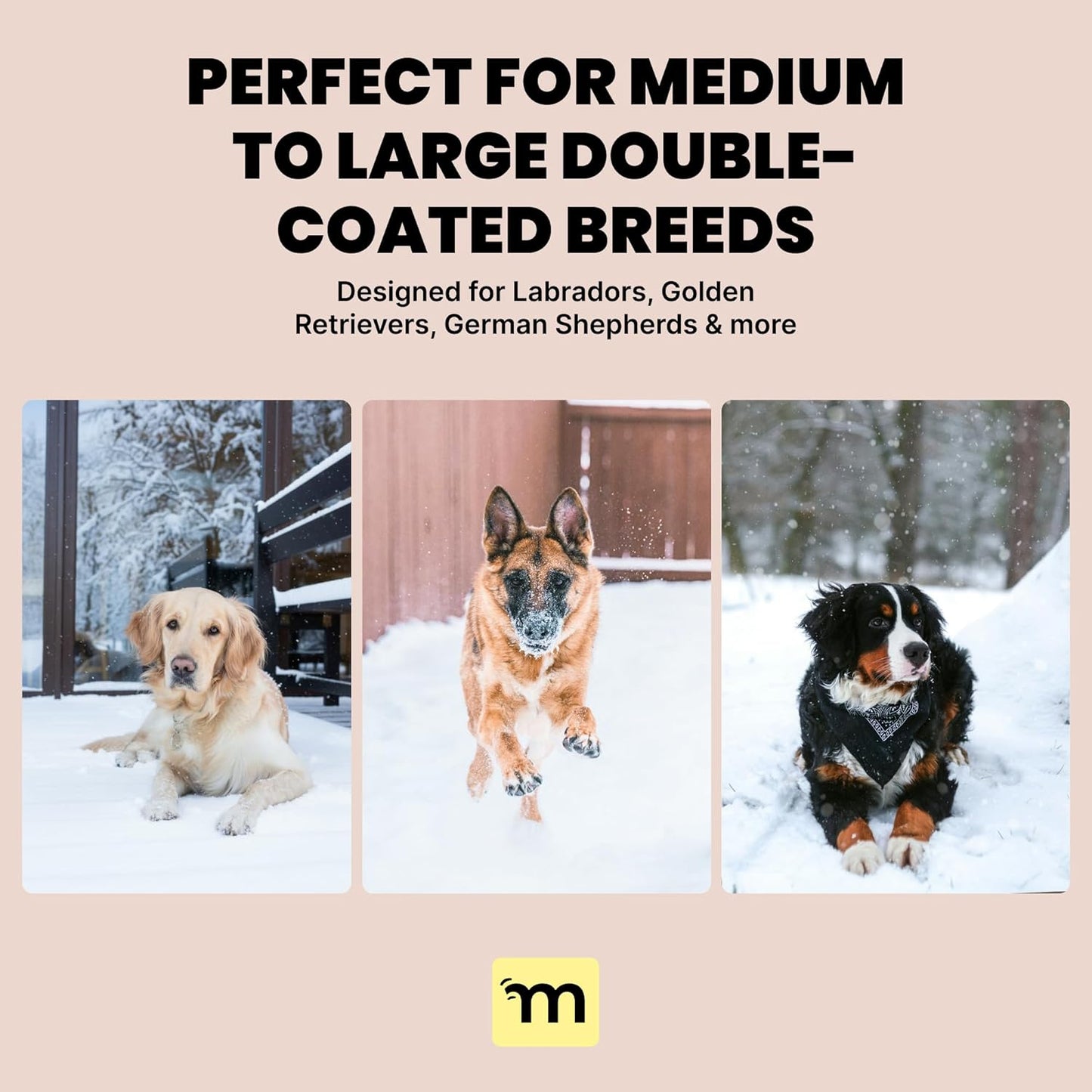 Dog Brush for Shedding - Large, Blue, 2-In-1 - Deshedding Dog Grooming Brush & Undercoat Rake with Dematting Comb for Medium to Large Double Coated